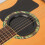 Soft Silicone Guitar Feedback Eliminators 4-Pack 2