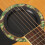 Soft Silicone Guitar Feedback Eliminators 4-Pack 4
