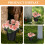 Unbranded Worship Flower Arrangement Base 6 pcs 5