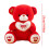 Red Plush Bear Valentine's Gift 23cm Hugging Heart 6