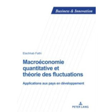 Macroconomie quantitative et thorie des fluctuations Applications aux
