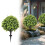 24-inch Flocked Artificial Christmas Tree with Stake 1