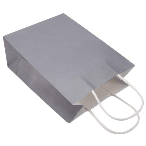 Papiertüten Geschenktüten mit Henkel 10er-Pack Grey 2