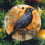 Blackbird Ceramic Christmas Ornament White Orange Crow 2