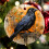 Blackbird Ceramic Christmas Ornament White Orange Crow 6