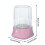 Portable USB Mini Washing Machine for Underwear and 3