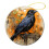 Blackbird Ceramic Christmas Ornament White Orange Crow 5