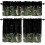 Botanical Kitchen Valance Curtains Nature White Floral 1