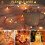 100 LED 33FT Battery Fairy Lights Warm White Remote Timer 5