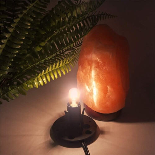 2pcs Himalayan Salt Lamp Cords with Dimmer ,Original Replacement Cords with Base Assembly US Plug