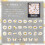 Holographic Floral Shell Stickers PET 60-Pack 1