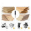 Woodworking Milling Cutter Router Bit with Interchangeable 3