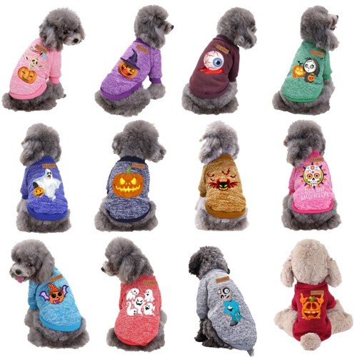 Dog Halloween Costume Pumpkin Design 1 Piece 2