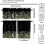 Botanical Kitchen Valance Curtains Nature White Floral 5