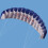 Power Kite Dual Handle Traction Line 55 inch Blue 7