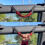 Roll Bar Grab Handles Paracord Grip for Ford Bronco 7