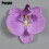 Orchid Hair Clip Brown Artificial Flower Wedding Accessory 8