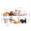 Cat Figures Collectible Figurines 10 Pack 2
