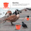 Red Plastic Bird Feeder Cups for Parrot Cage 4-Pack 3