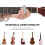 Guitar Slides Medium Metal 4 Pieces Assorted Colors 7