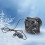 Exhaust Fan USB Powered 3000RPM 50CFM Detachable Design 6