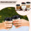 10 oz Disposable Paper Cups with Lids 50 pcs 2