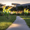 Solar Garden Lights with 8 Lily Flowers 2-Pack 5