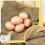 Chicken Nesting Pads Washable Reusable 12 Pack 4