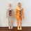 3D Human Anatomy Model for Education and Physiology Classes 5