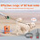 Dog Bark Deterrent Device Rechargeable 3 Modes 50 ft Range 5