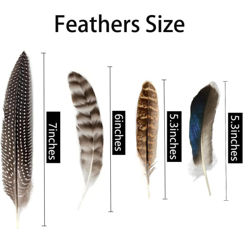 Turkey Pheasant Duck Feathers for Crafts 40 pcs 1