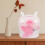 Pink Hamster Carrier Rectangular Plastic 1 Pack 3