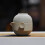 Japanese portable tea set with teapot and cup 1