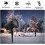 LED Christmas Snowfall Projector IP65 Waterproof Rotating 5