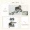 4 Piece Cat Shelf with Scratching Post, Wall-Mounted Cat Tree for Indoor Cat - Grey 7