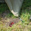 Camping Cord Polyester Heavy Duty 8 pcs 3