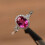 Women's Oval Cubic Zirconia Ring Red US Size 7 3