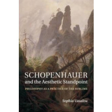 Schopenhauer and the Aesthetic Standpoint by Sophia Vasalou Paperback