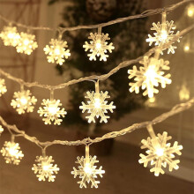 TETOU Snowflake String Lights 20 Ft 40-LED Warm White