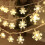 TETOU Snowflake String Lights 20 Ft 40-LED Warm White 1
