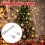 Transparent Christmas Lights Extension Cord 10ft 220V 2-Core 4
