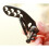 Compound Launcher Rest Fall-Away Accessory High Performance 3