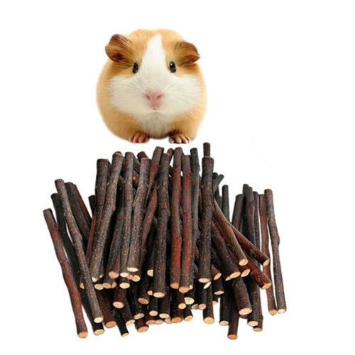 Pet Chew Toys for Small Animals 60 Pack 1
