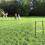 Ladder Toss Game Balls 2 Blue 2 Red 4 Pieces 6