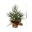 Mini Christmas Tree with Red Berries and Pine Cones 12 Inch 3