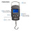 Handheld LCD Digital Scale for Travel, Fish, Luggage, 4