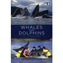 Whales and Dolphins Cognition Culture Conservation and Human Perceptio