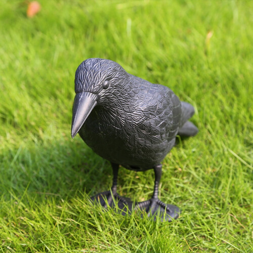 Black Raven Decoy Plastic 40cm Bird Control Deterrent
