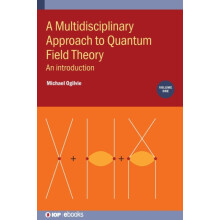 A Multidisciplinary Approach to Quantum Field Theory Volume 1 An intro
