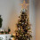 Lighted Gold Star Christmas Tree Topper LED 1pc 7